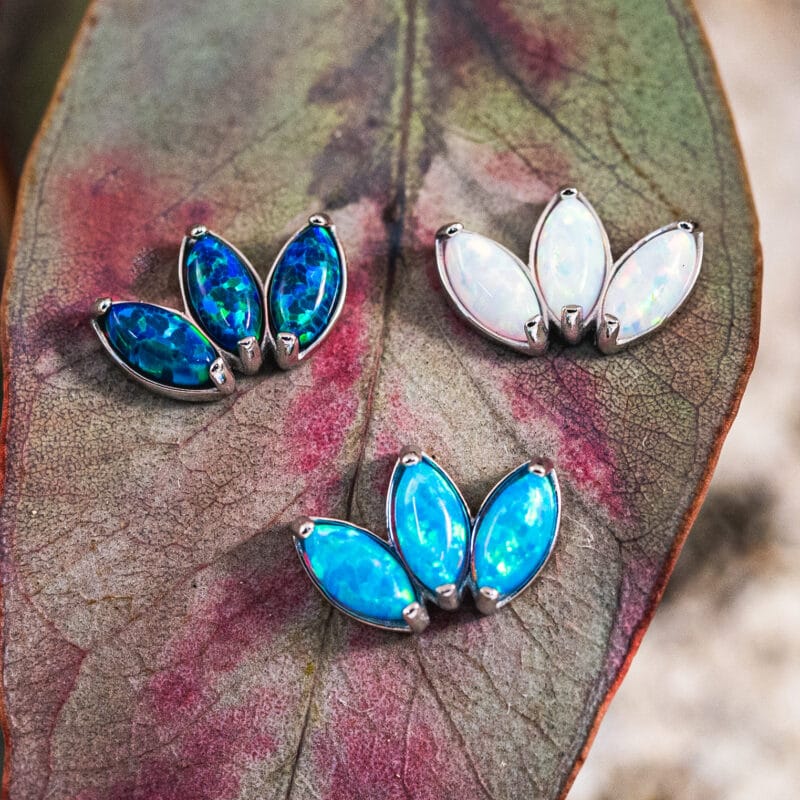 Nebelle pin