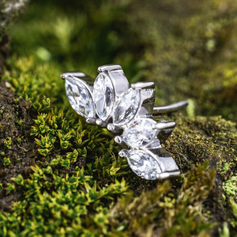 Quintra pin