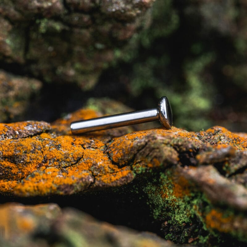Labreta titan pin 4 mm disk