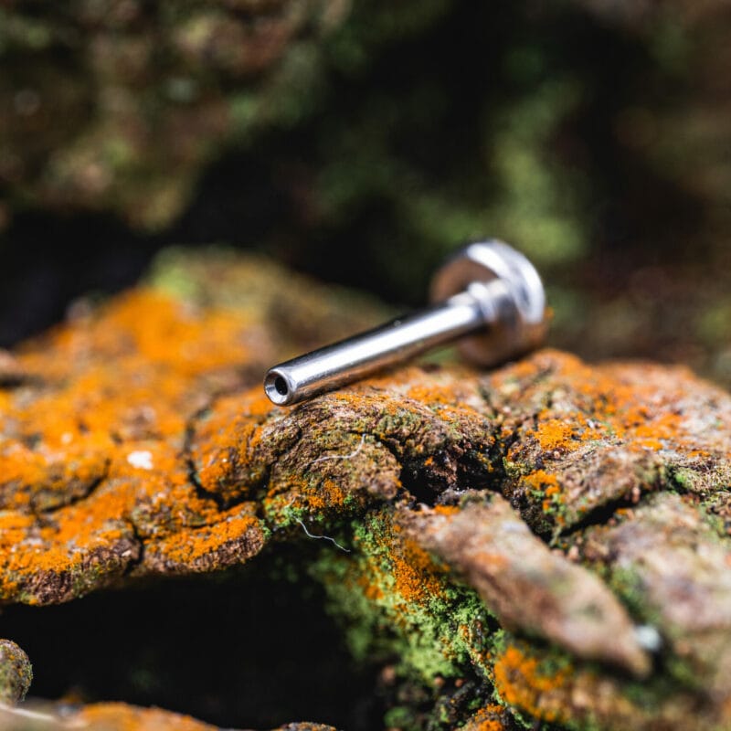 Labreta titan pin 3 mm disk