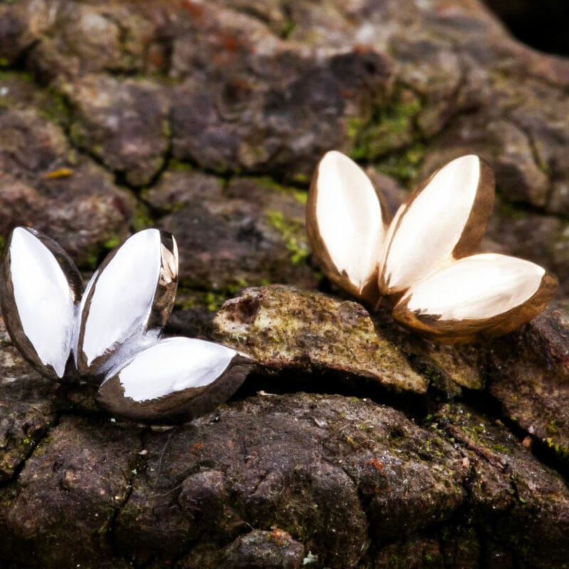 Trivana pin