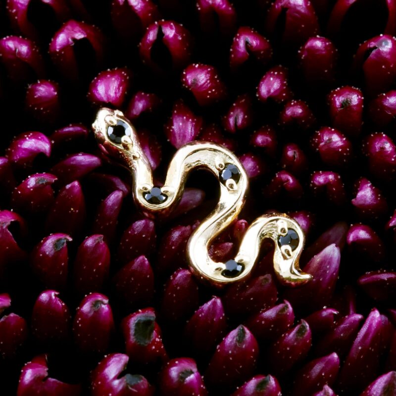 Nagaia pin