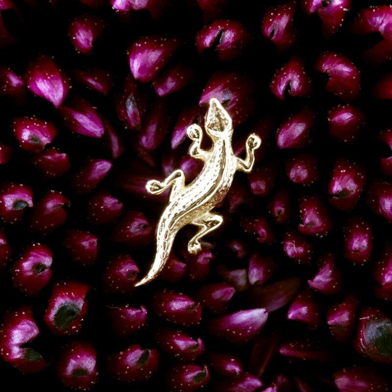 Lacerta pin