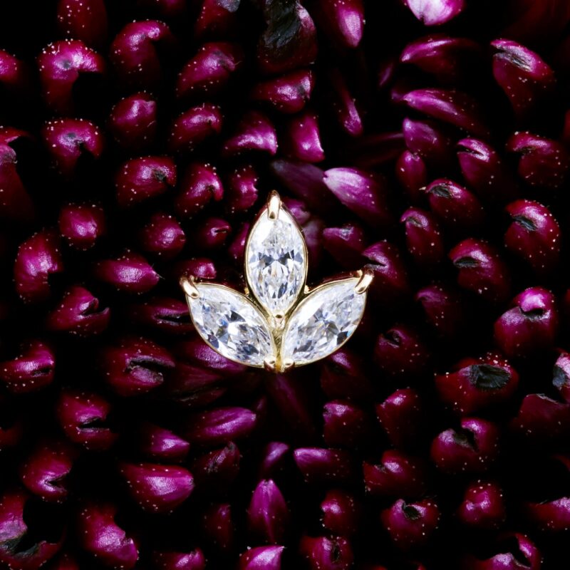 Celaeno pin