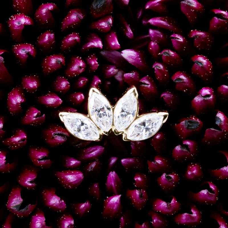 Reticulum pin
