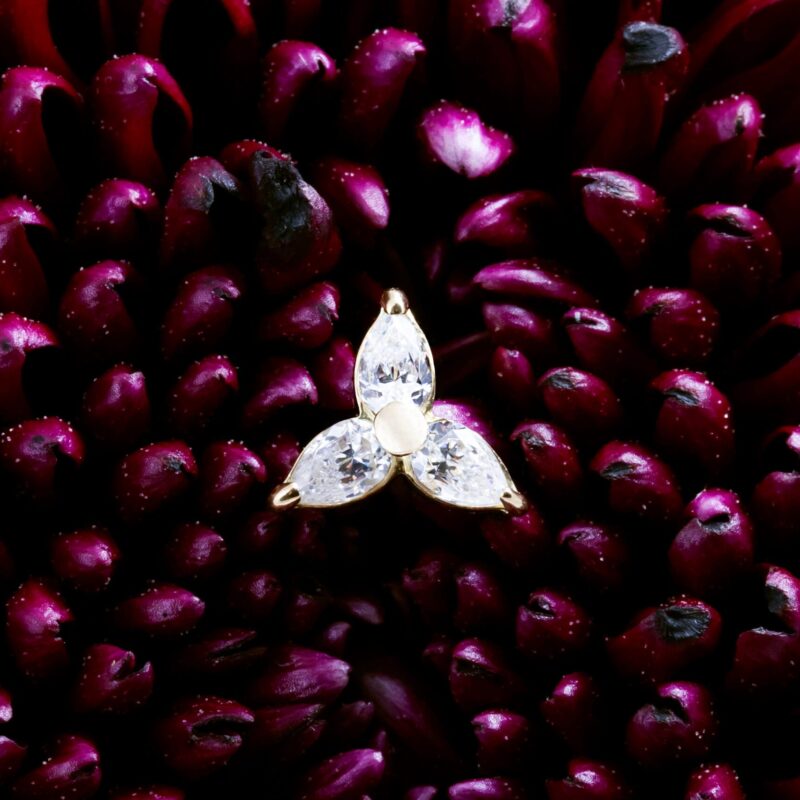 Zuben pin