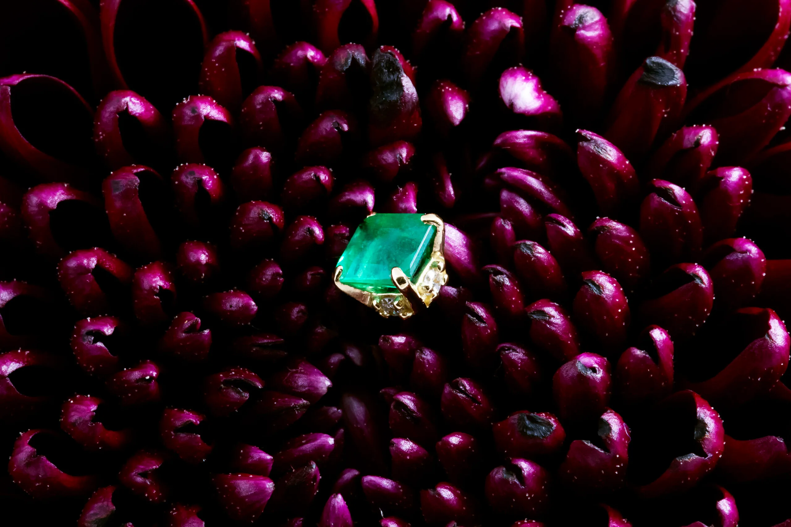 Merope pin