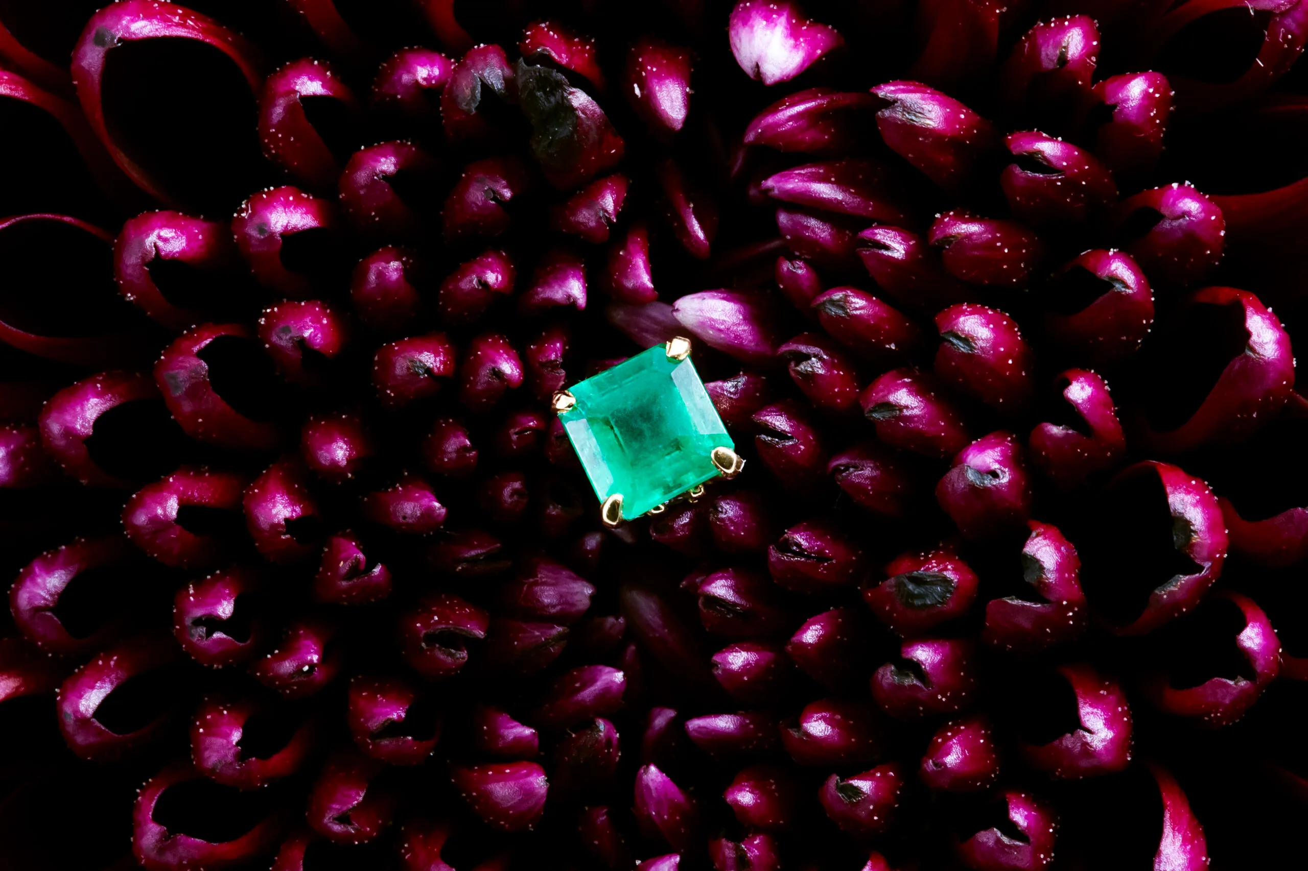 Merope pin - Obrázek 3