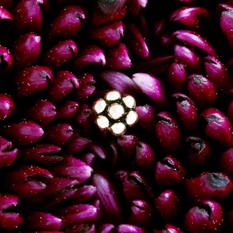 Haumea pin
