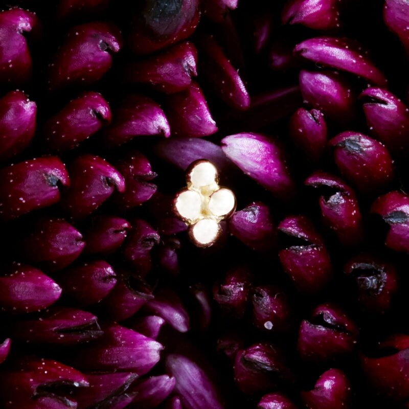 Rhea pin