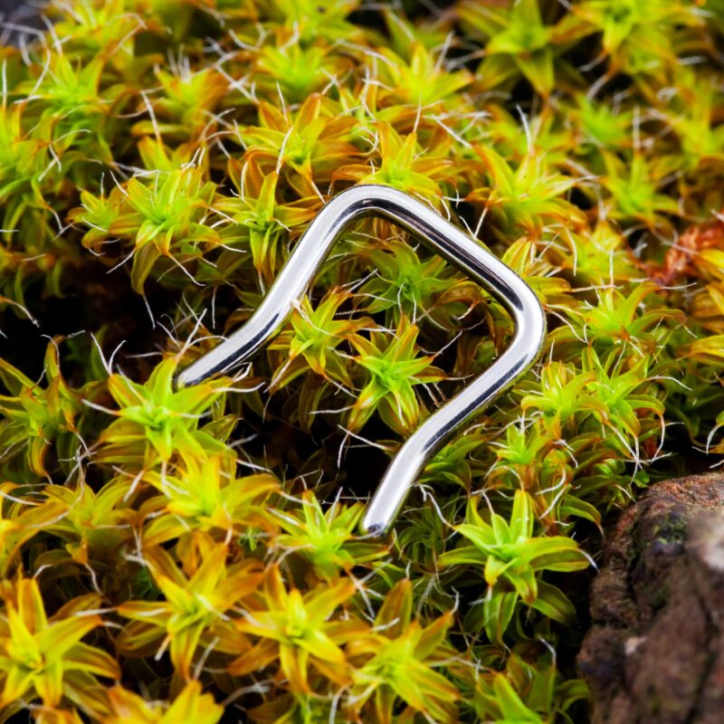 Septum retainer