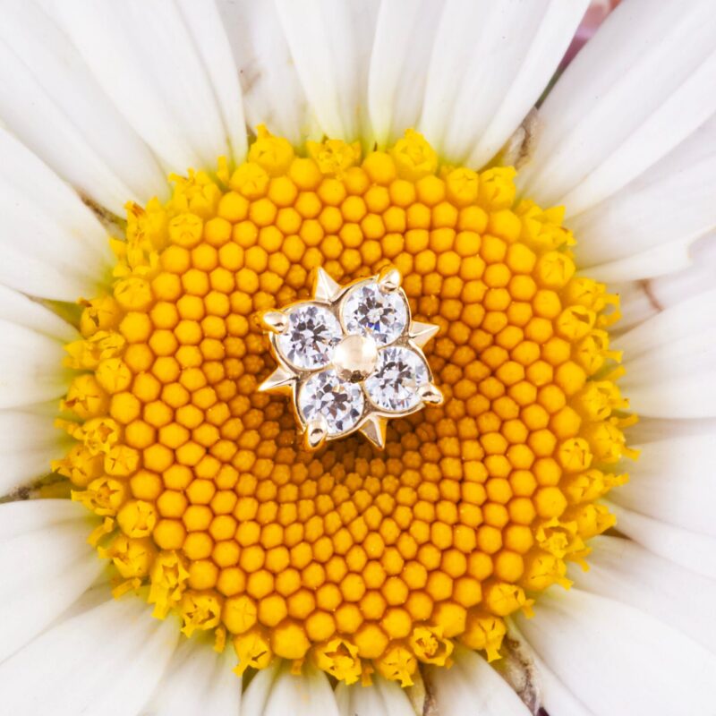 Tethys pin