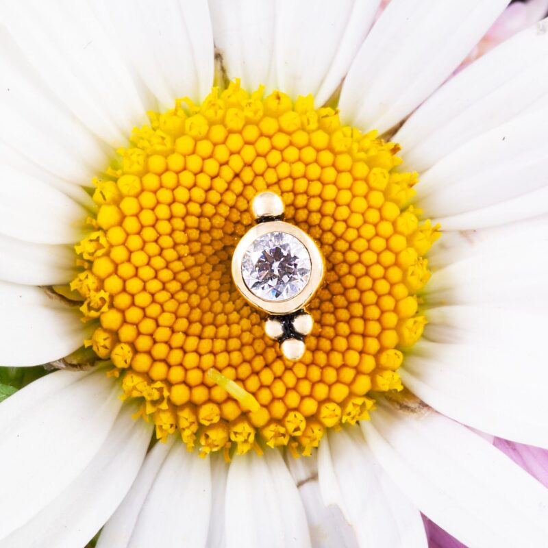 Alcyone pin