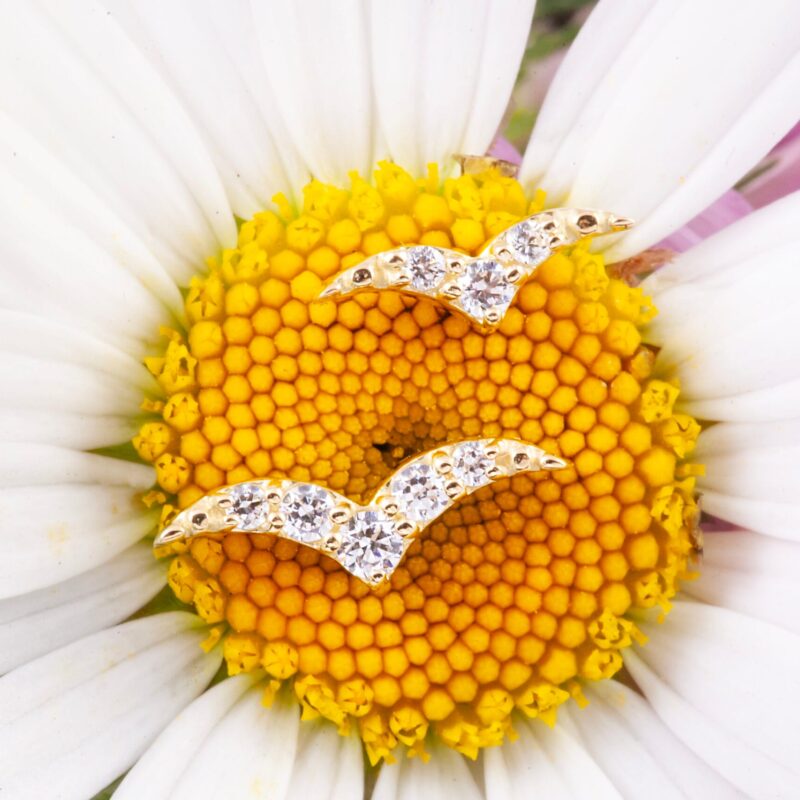 Volira pin