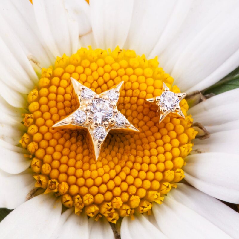 Stella pin