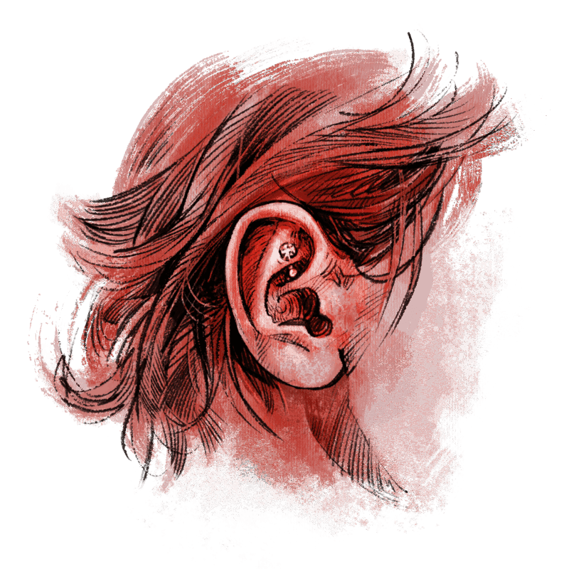 Rook