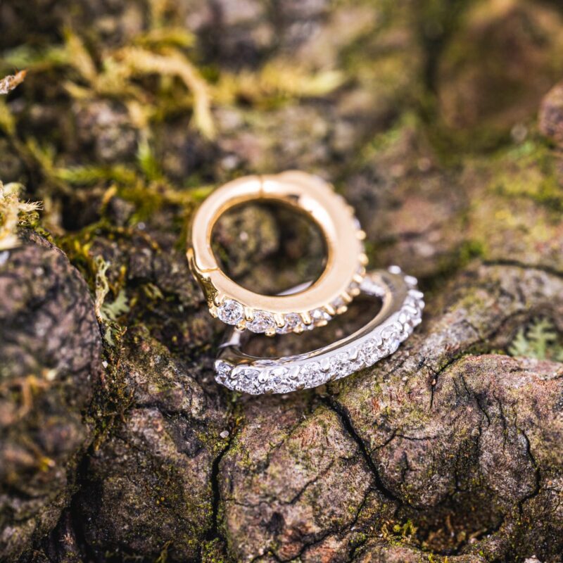 Rhaegon segment s diamanty