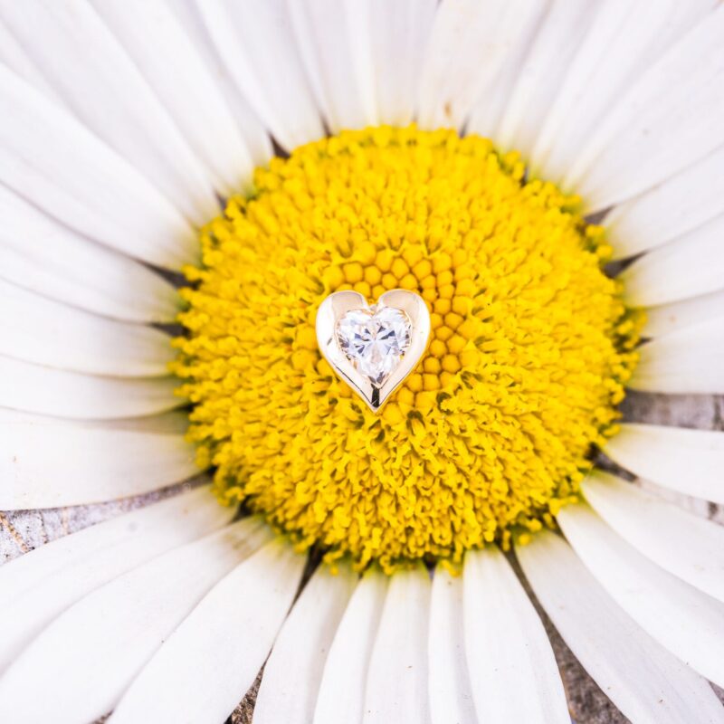 Aimea pin