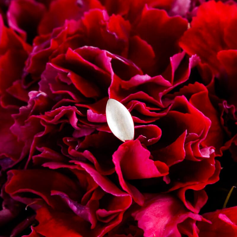 Spindle
